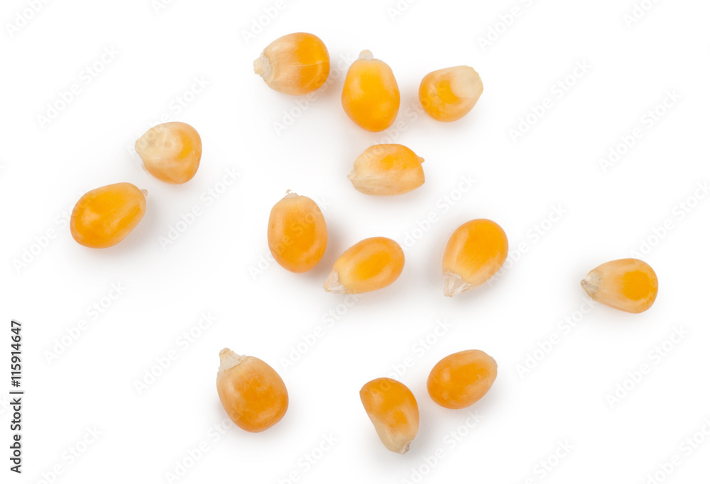 Corn seeds Corn seeds