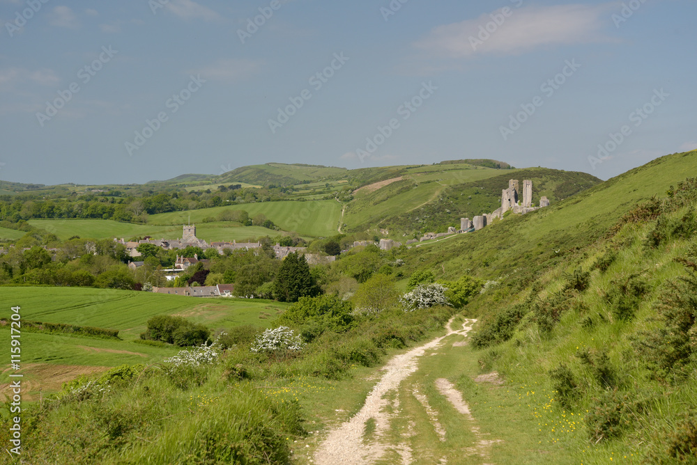 Ridge path above Corfe Castle, Dorset