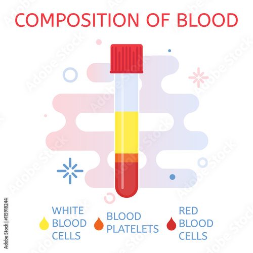 Composition of blood. Elements of blood in a test tube- white cells, red cells and platelets. Medical and scientific concept. Vector illustration.

