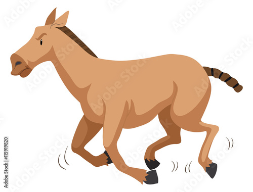 Brown horse running fast