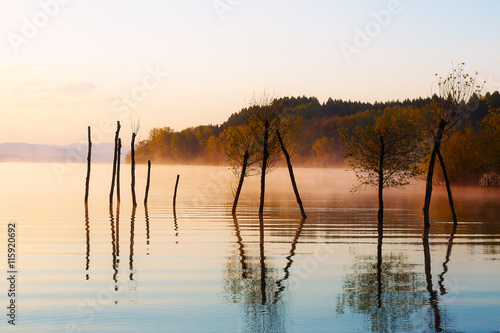 Fototapeta Naklejka Na Ścianę i Meble -  beautiful lake with mountains in the background at sunrise. Trees in water and morning fog.