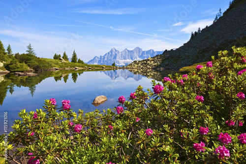 Der Spiegelsee auf der Reiteralm mit dem Almrausch