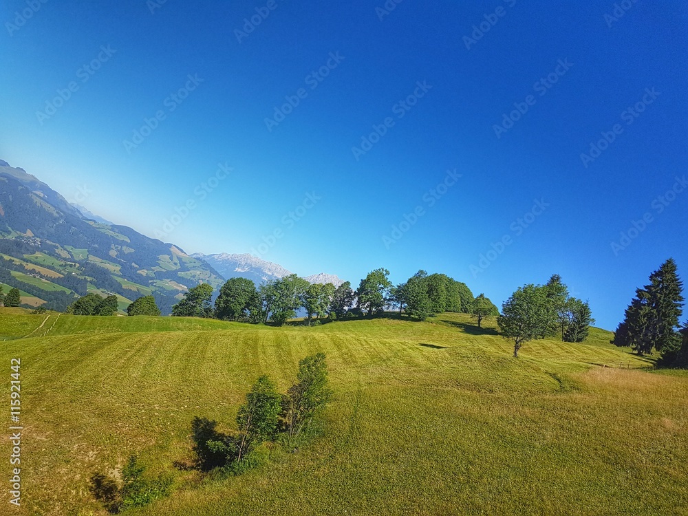 Obraz premium Kitzbühel, Kitzbühler Horn - Austria