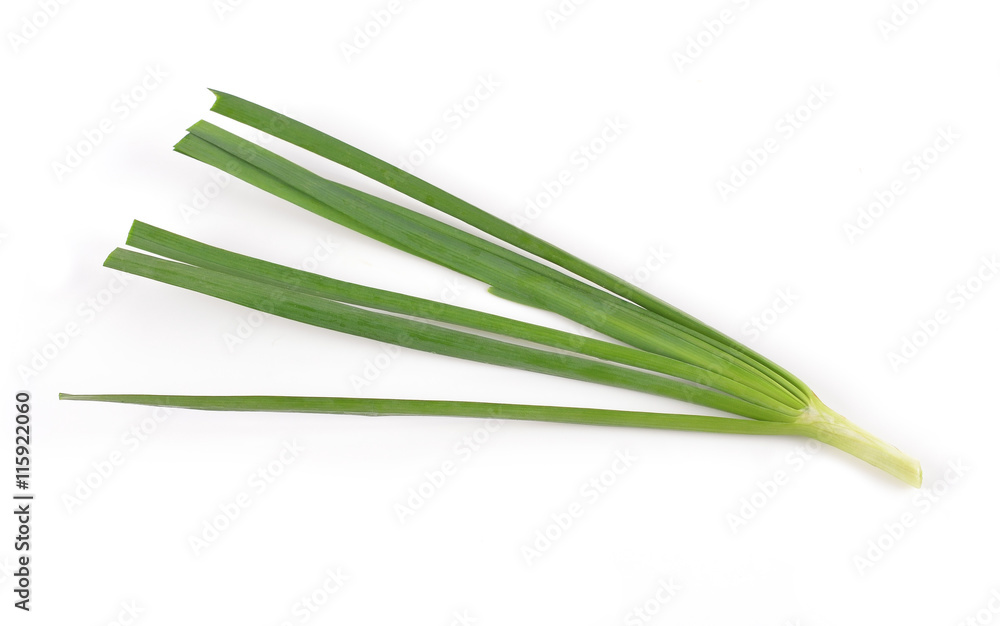 Fototapeta premium Garlic chives isolated on white background
