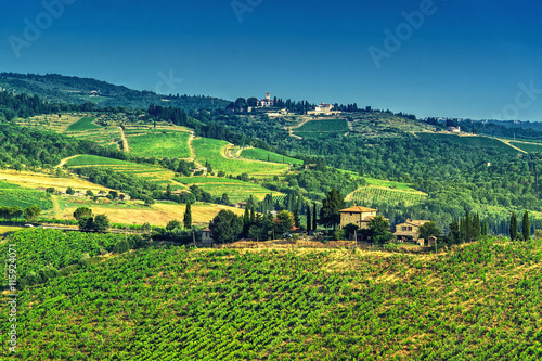 Chianti vineyard © pershing