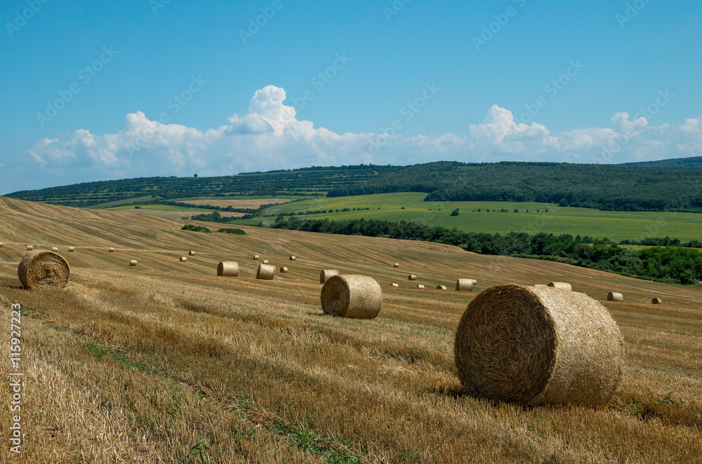 Levels with bales.