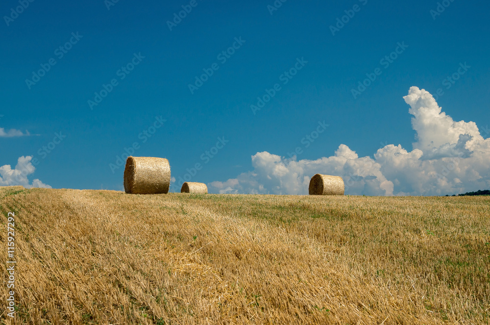 Levels with bales.