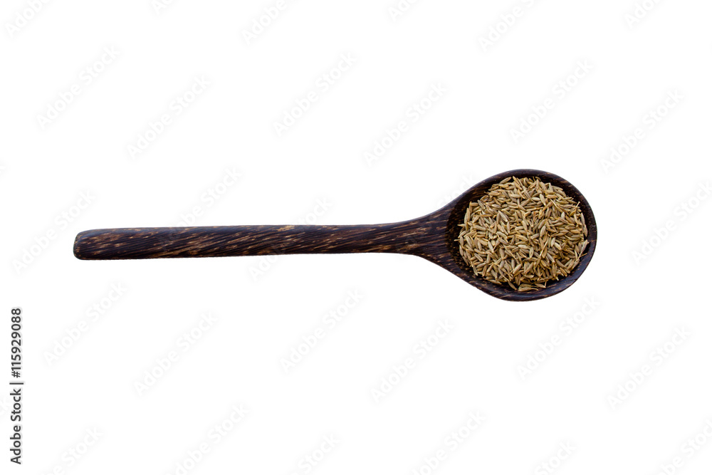 Herbs And Spices. Herbs And Spices.
