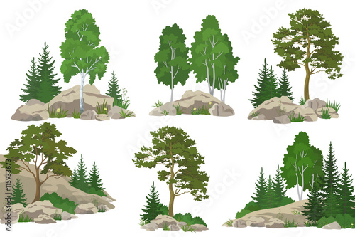 Set Landscapes, Coniferous and Deciduous Trees, Pine, Fir Tree, Birch, Flowers and Grass on the Rocks, Isolated on White Background. Vector