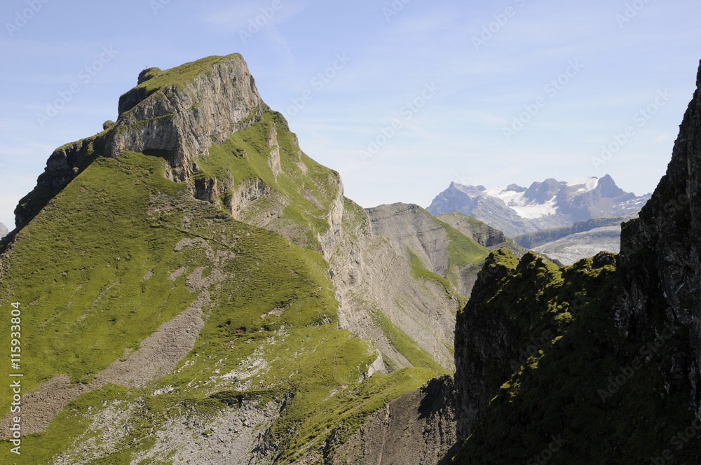 Obraz premium Druesberg und Glärnisch vom Forstberg
