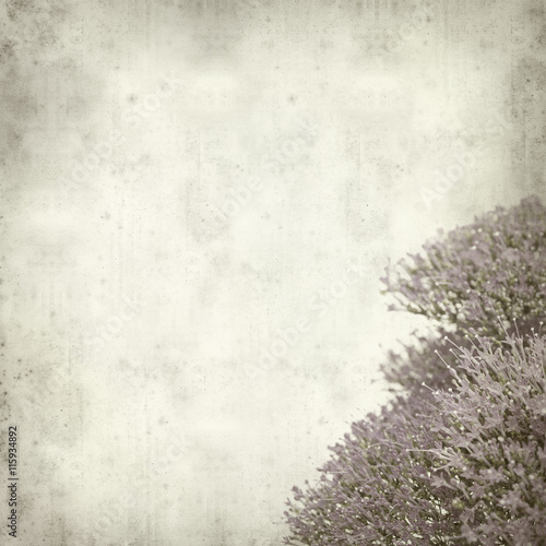 Wallpaper Mural textured old paper background Torontodigital.ca