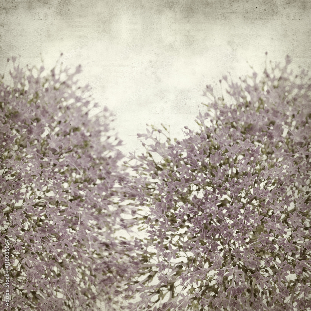 Obraz premium textured old paper background