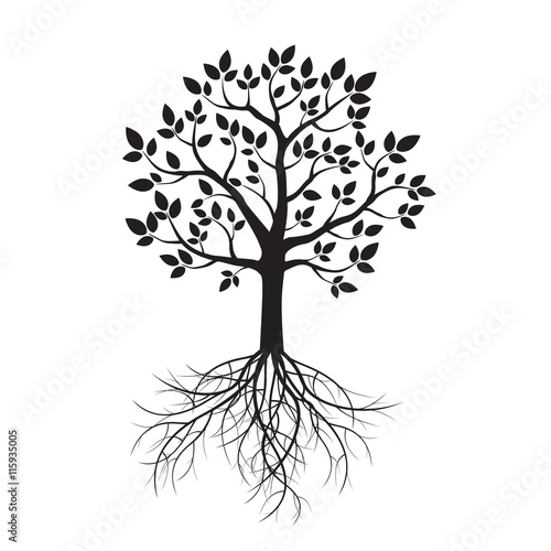 Black Tree and Roots. Vector Illustration.