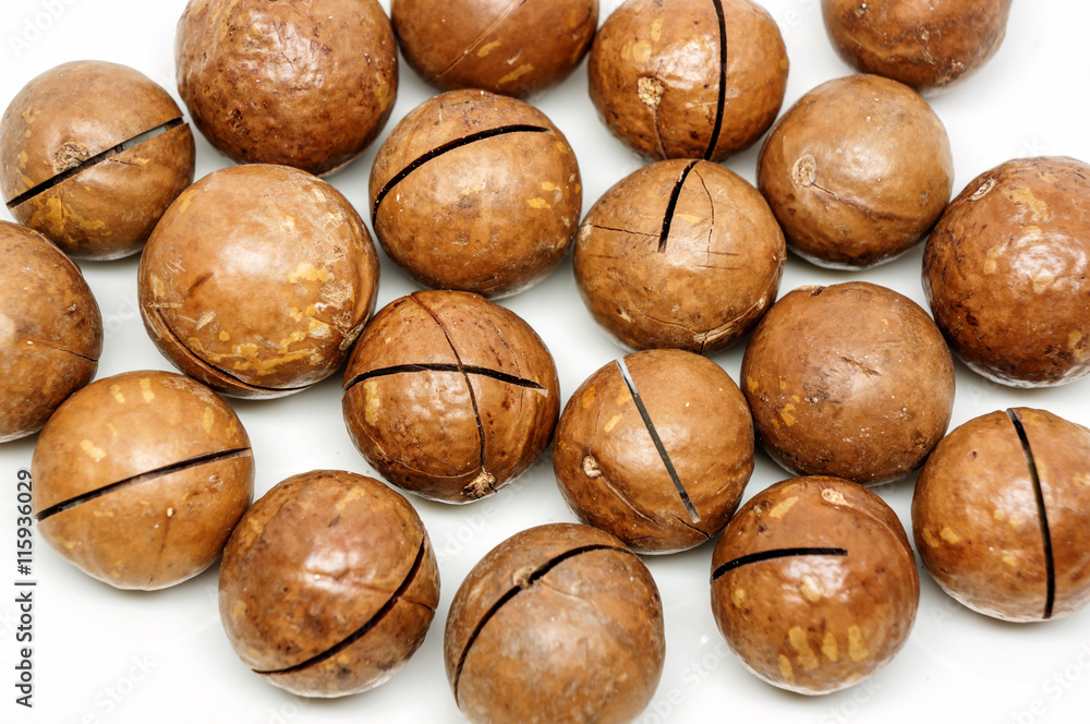 macadamia nuts on white background. macadamia nuts on white background.