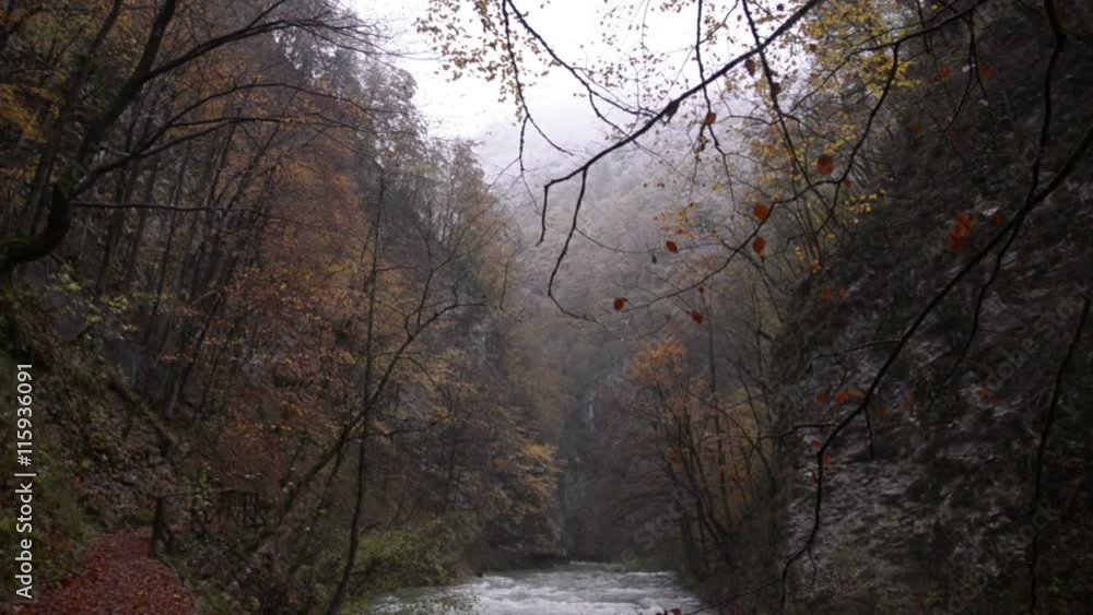 Mountain River. Canyon in the forest. The path along the shore. Autumn. Yellow leaves. Overcast Mountain River. Canyon in the forest. The path along the shore. Autumn. Yellow leaves. Overcast