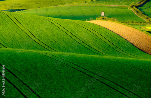 Wavy meadows spring landscape in South Moravia, Czech Republic © Anton Gvozdikov