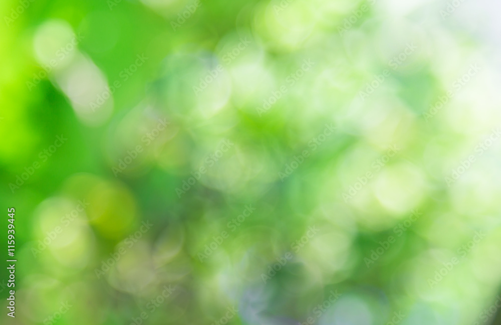 green bokeh from nature , blurred background