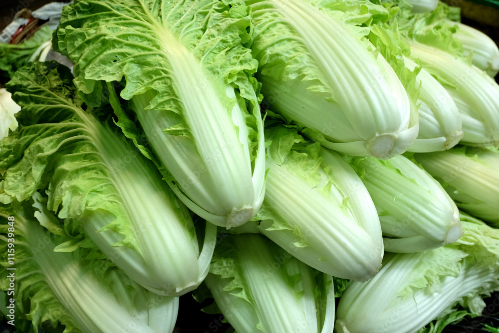 PILE OF WHITE LETTUCE
Chinese white lettuce are piled on the wooden big basket that’s have been found popular in the south east asian market. PILE OF WHITE LETTUCE
Chinese white lettuce are piled on the wooden big basket that’s have been found popular in the south east asian market.