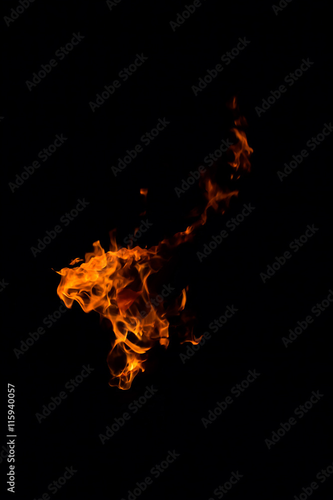 Fire flames on a black background