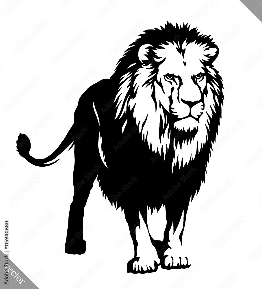 Obraz premium black and white linear paint draw lion vector illustration