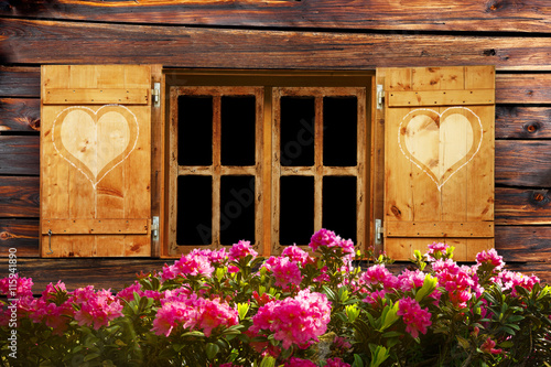 Blumenfenster auf der Alm
