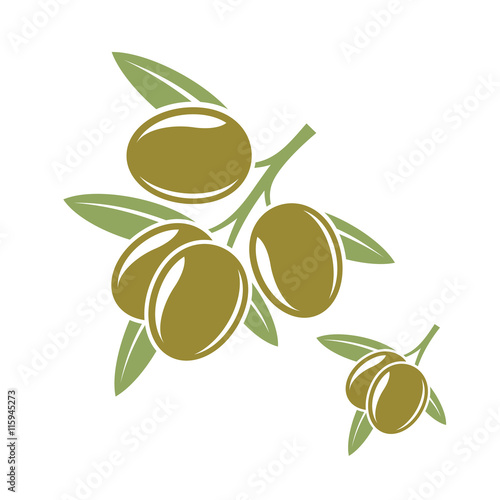 Olive 