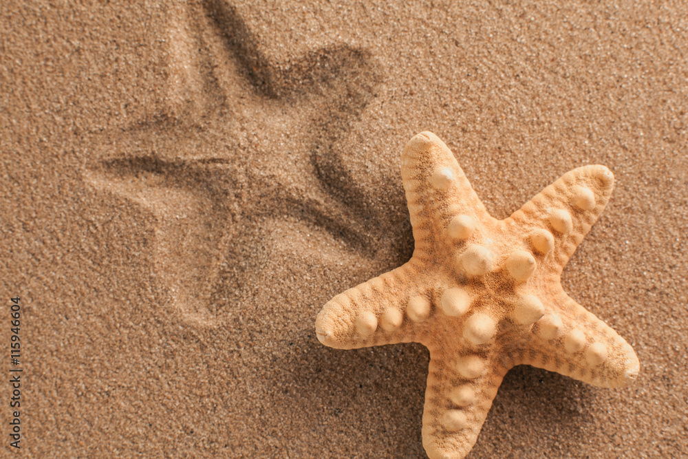 Starfish and shells with sand as background. Sand texture Starfish and shells with sand as background. Sand texture