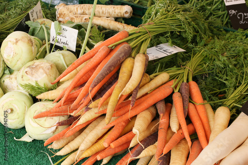 Verschiedene Möhren Sorten