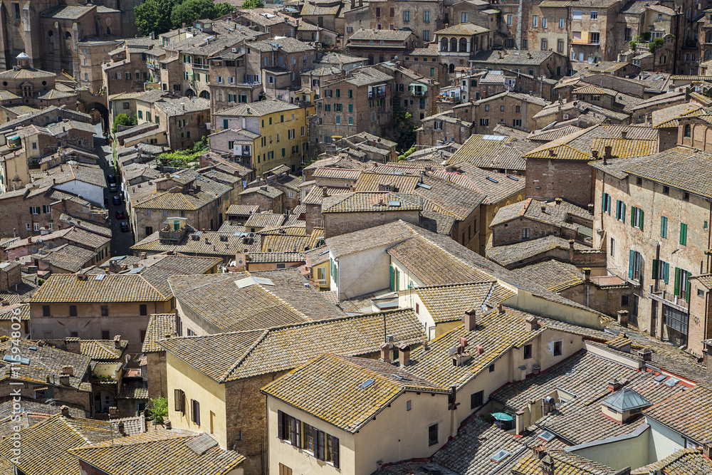 Obraz premium Siena, Italy