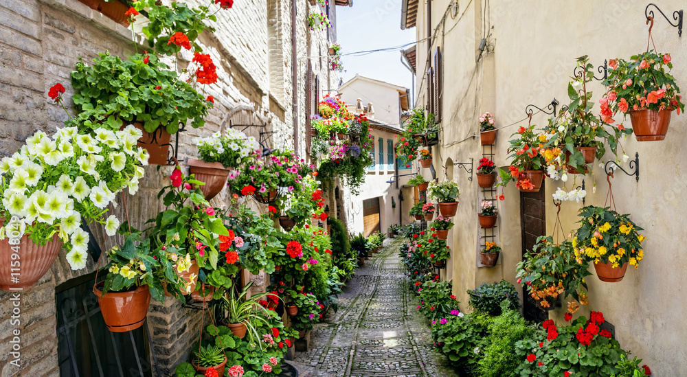 Beautiful street decoration with flowers in medieval town Spello