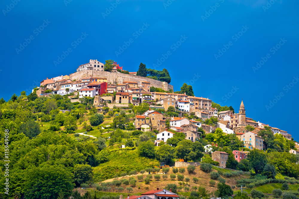 Fototapeta premium Town of Motovun on picturesque hill