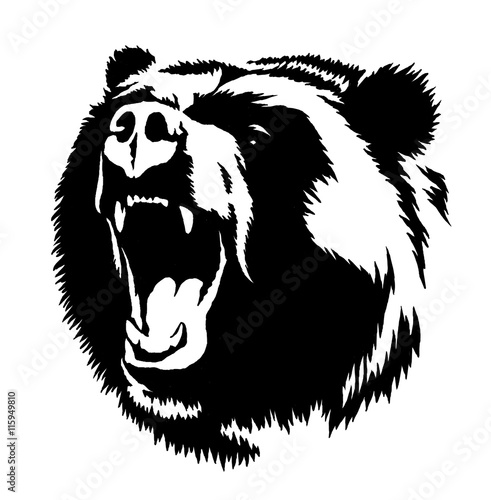 Wallpaper Mural black and white ink draw bear illustration Torontodigital.ca