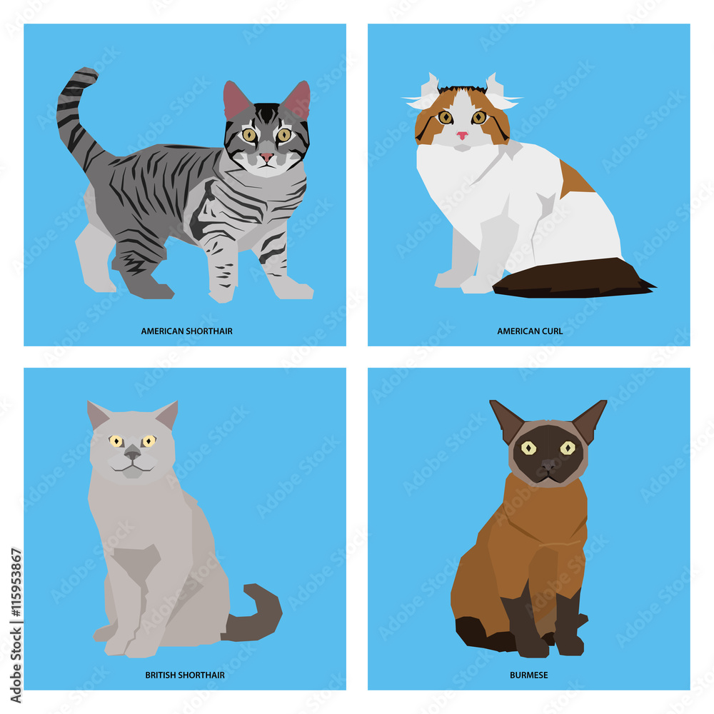 Obraz premium Set of cat breeds, vector illustration