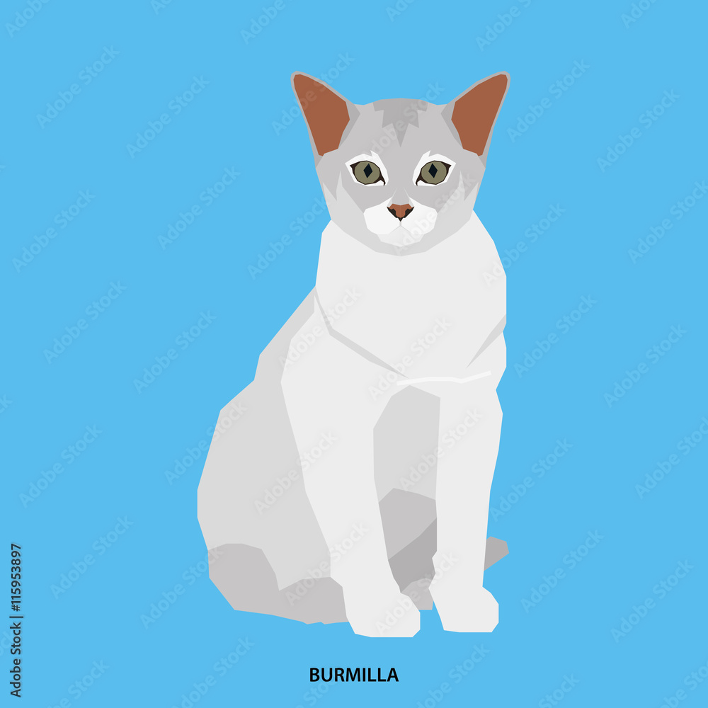 Cat breed, vector illustration Cat breed, vector illustration