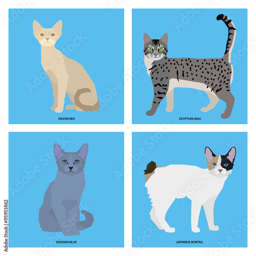 Set of cat breeds, vector illustration © illustratiostock