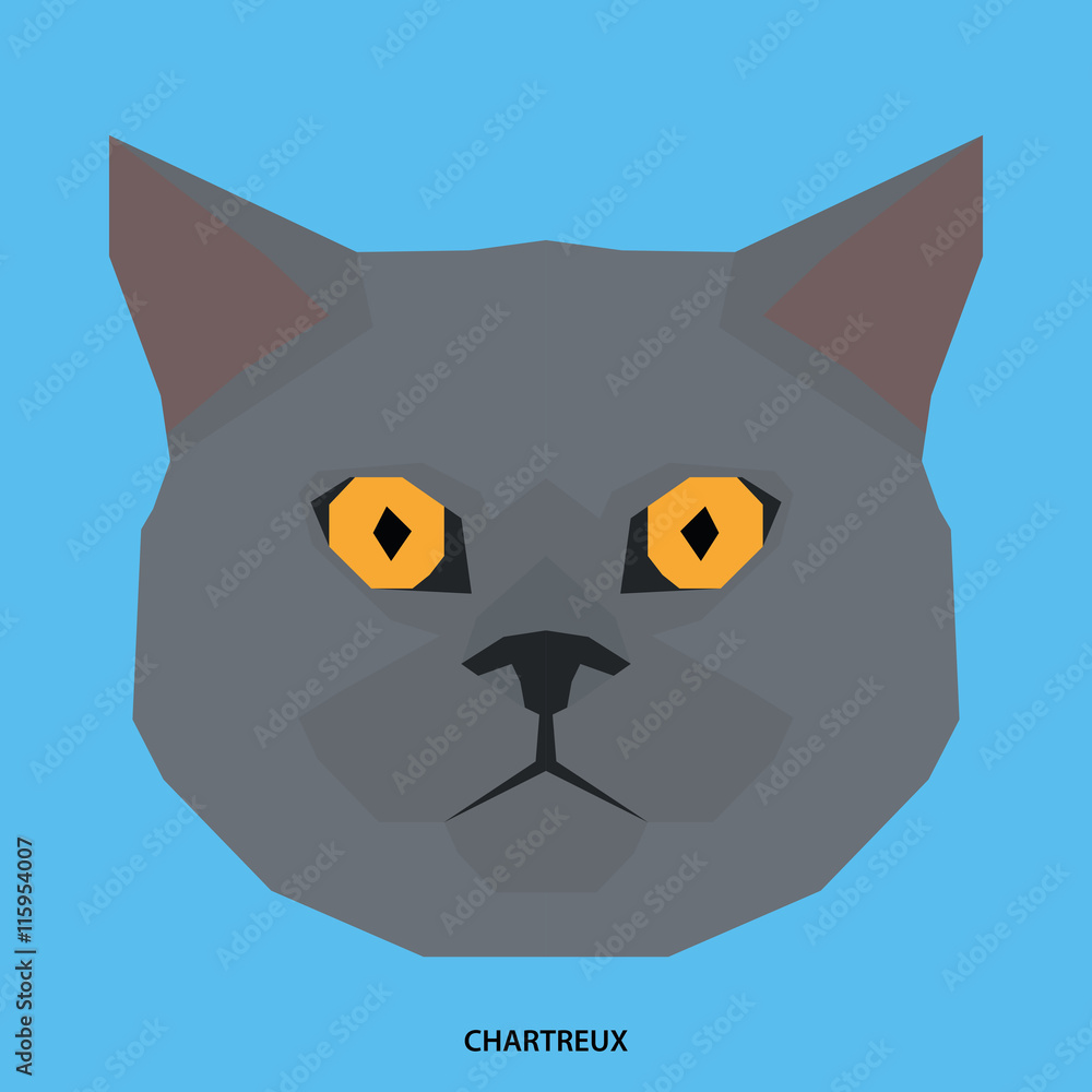 Cat breed, vector illustration