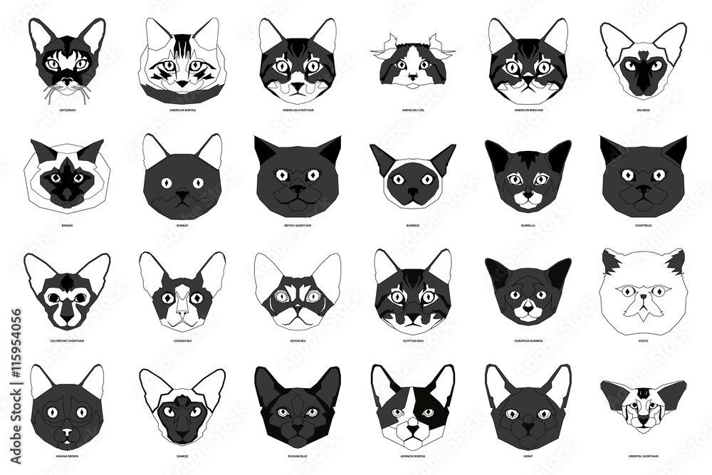 Set of cat breeds, vector illustration Set of cat breeds, vector illustration