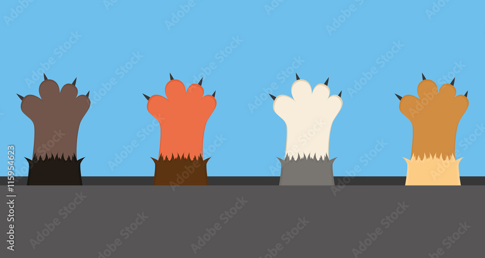 Obraz premium Cat paws, vector illustration