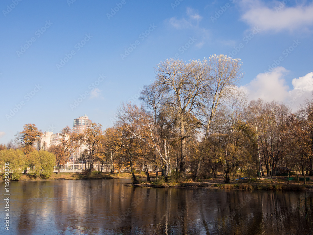 autumn landscape in the park