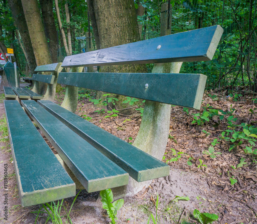 Fototapeta premium green forest bench side close up