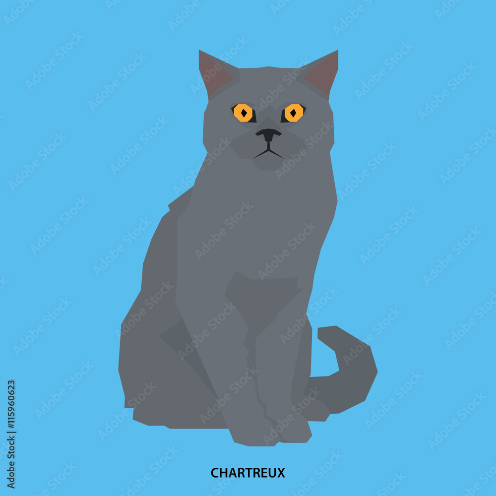 Cat breed, vector illustration Cat breed, vector illustration