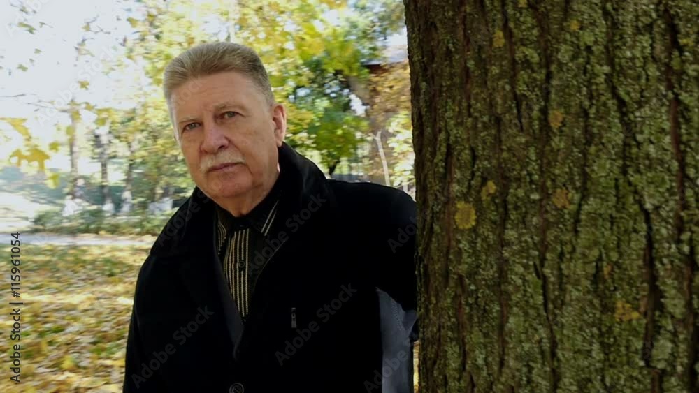 handsome adult man walking around the tree in autumn park, slow motion handsome adult man walking around the tree in autumn park, slow motion