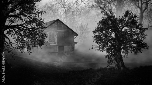 Tableau sur toile Haunted house increepy forest ./ Halloween background.