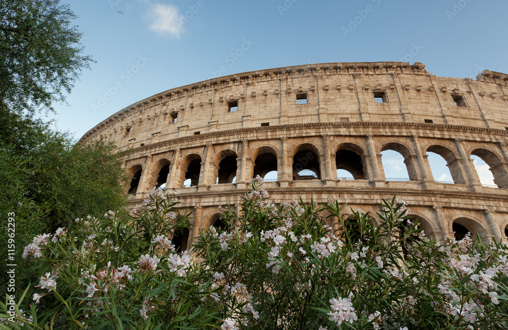 The Colosseum in Rome surrounded by trees and flowers 