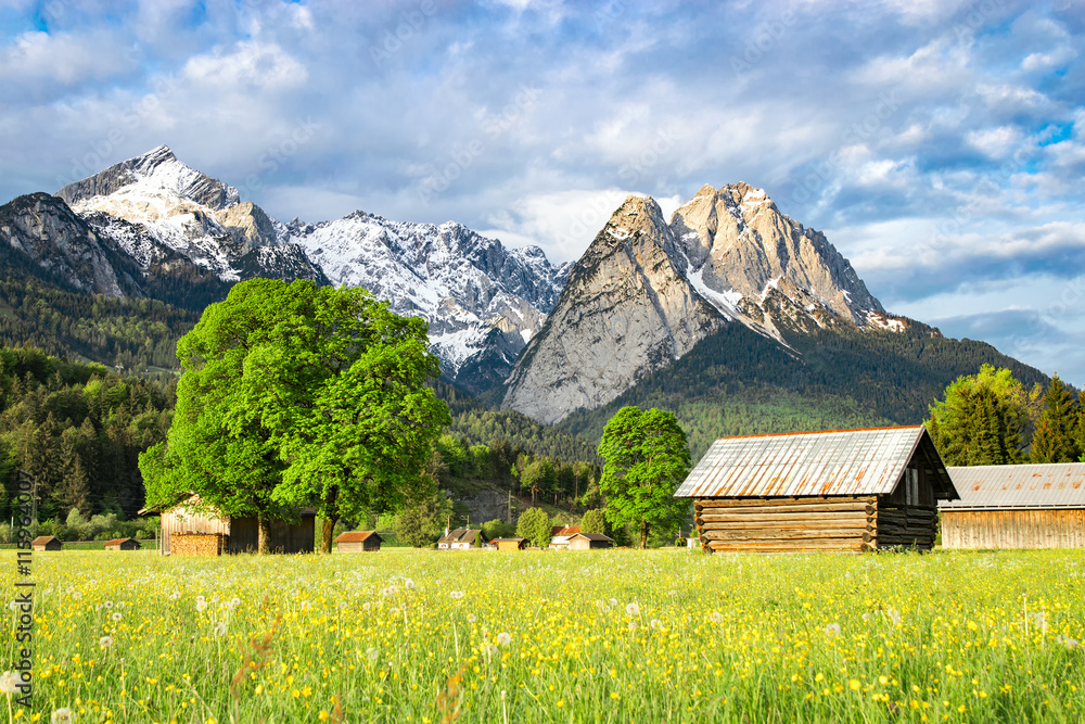 Fototapeta premium Alpine morning rural landscape with spring flowering valley meadow