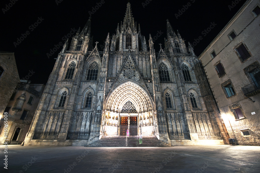 The gothic Barcelona Cathedral at night,Catalonia, Spain