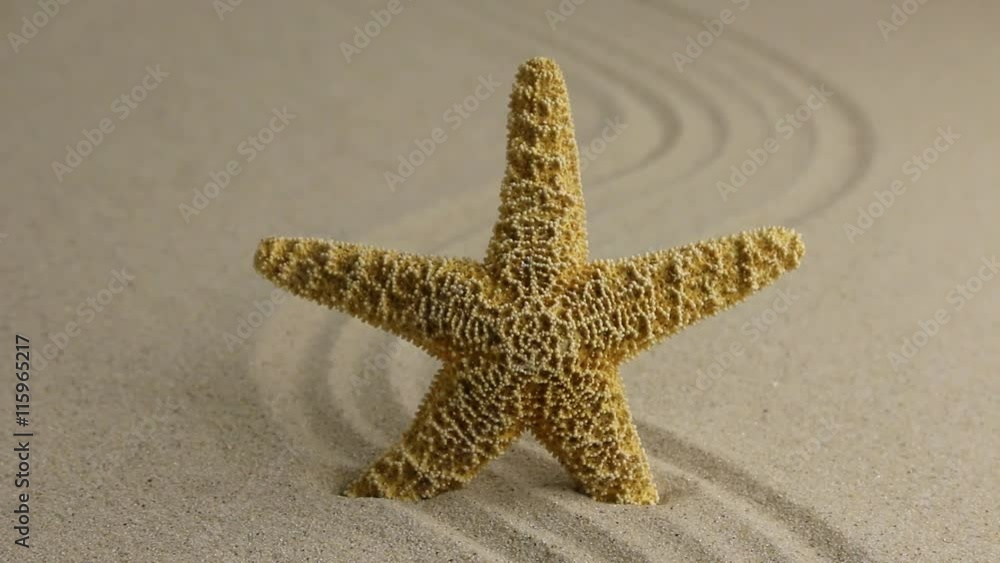 Removing starfish sticking out of the sand on the beach Removing starfish sticking out of the sand on the beach