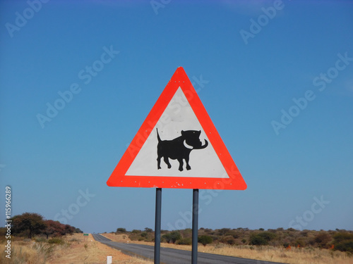 Warthog crossing