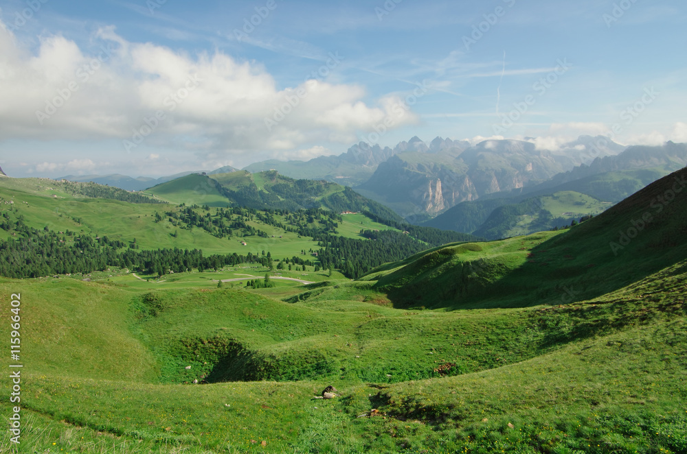 Fototapeta premium Dolomites