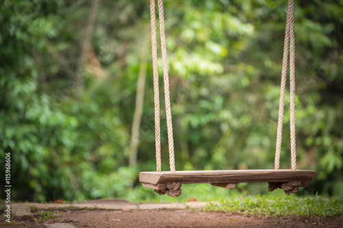 Swing wooden seat hanging by rope with green background photo